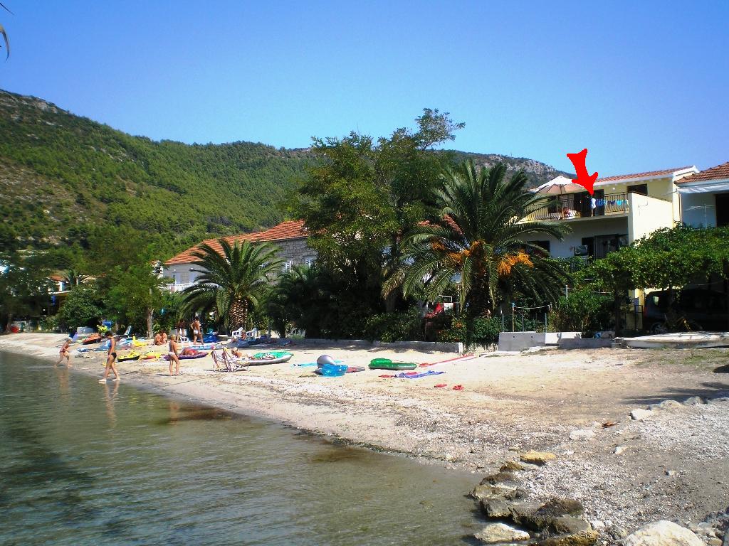 Apartmani Žuljana - Kuća br. 1